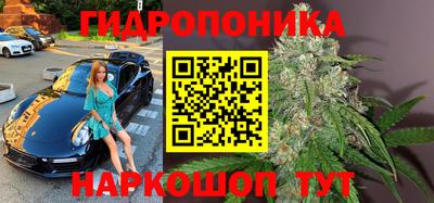 шишки Малгобек