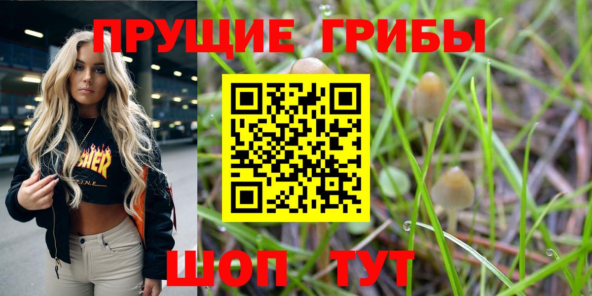 Галлюциногенные грибы GOLDEN TEACHER  купить   Ижевск  Вход с VPN 
